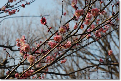 souther_20100203d