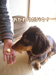 souther_20081204g