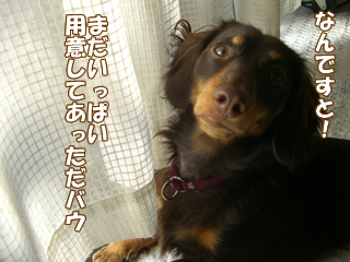 souther_20081125e