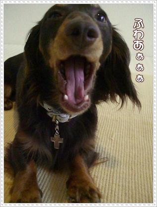 souther_20090528c