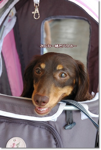 souther_20100819a