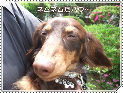 souther_20090427b
