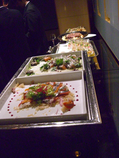 souther_20081205h