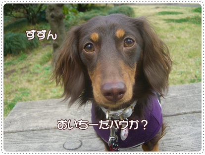 souther_20090328d