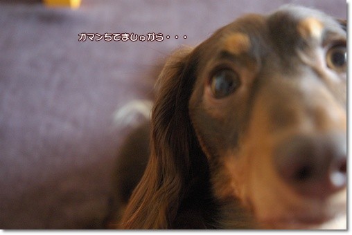 souther_20110604g