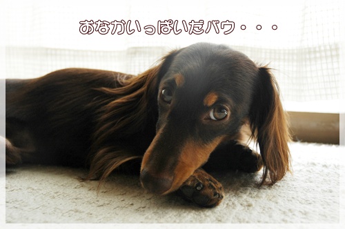souther_20090930a