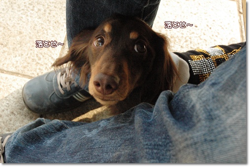 souther_20100202b