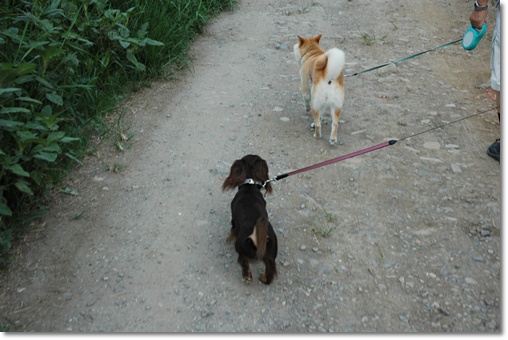 souther_20100818h