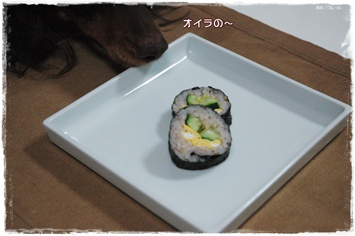 souther_20100204h