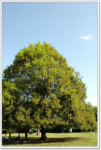 souther_20110514g