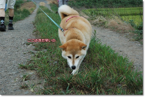 souther_20100818e