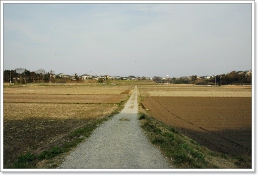 20110405g