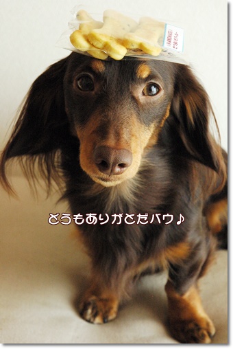 souther_20091229l