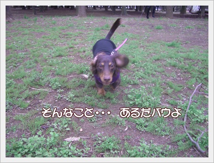 souther_20090401c