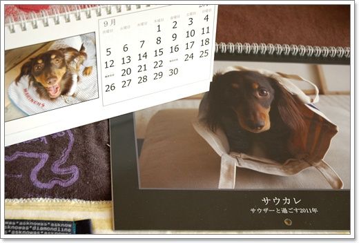 20101120f