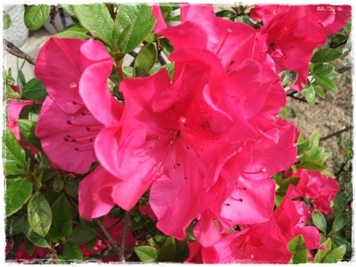 souther_20090427f