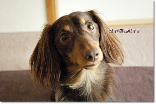 souther_20110427h