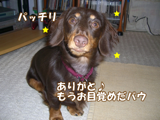 souther_20081116e