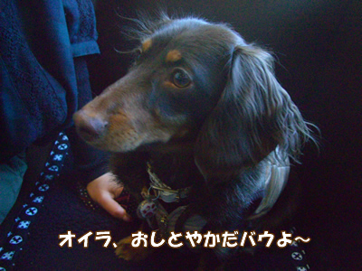 souther_20090127c