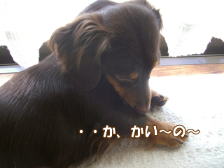 souther_20081125d