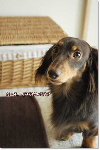 souther_20100721e