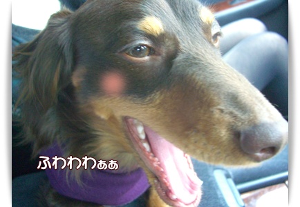souther_20090330g