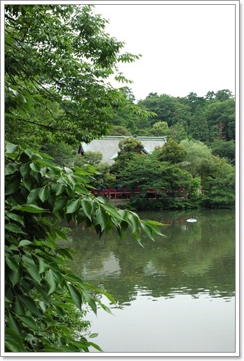 souther_20110622c