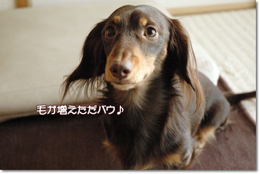 souther_20091127a