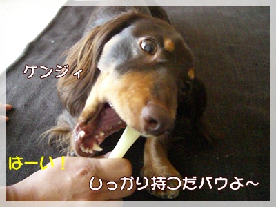 souther_20090726b