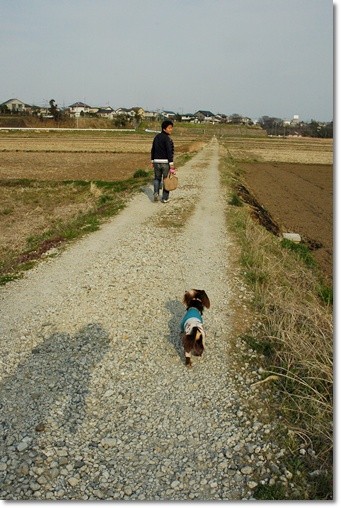 20110405i