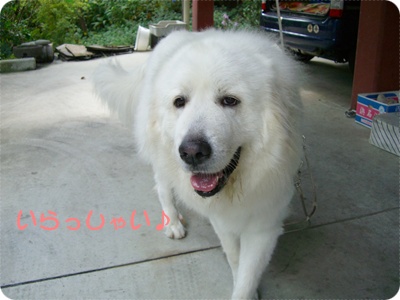 souther_20090727a