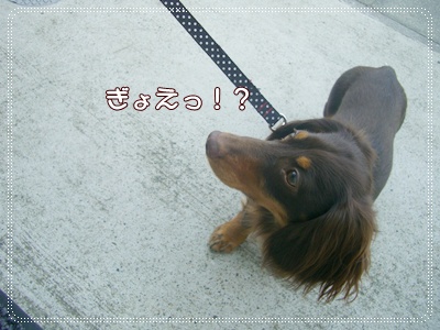 souther_20090413f
