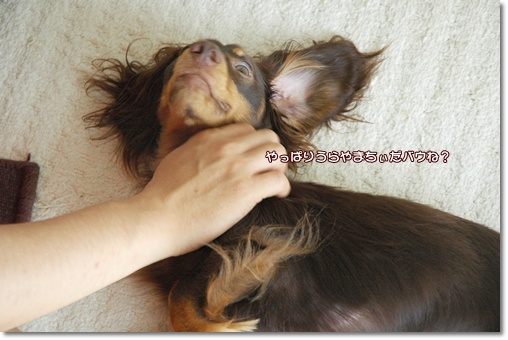 souther_20100626g