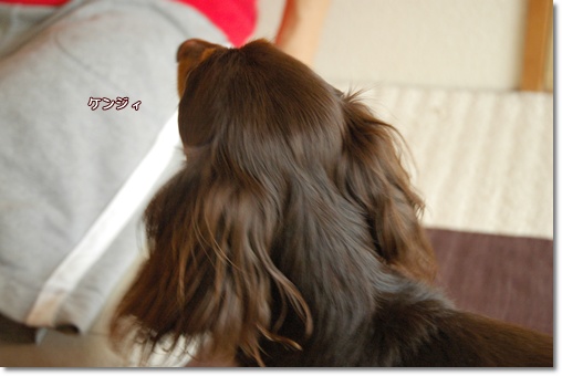souther_20100626a