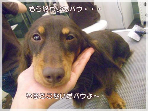 souther_20090928c