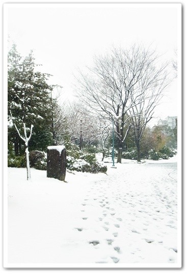 souther_20120301b