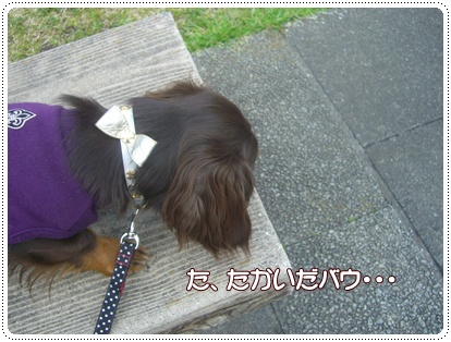 souther_20090328g