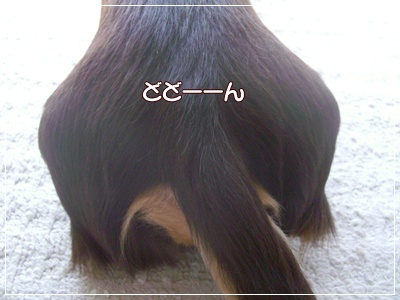souther_20090327c