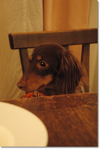 souther_20100301f