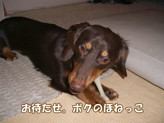 souther_20081116f