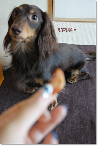 souther_20100718f