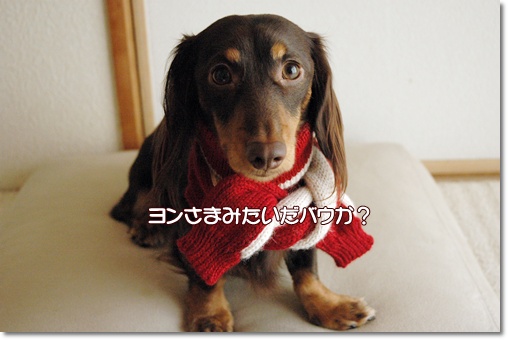 souther_20091127d