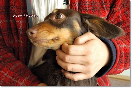 20110129d