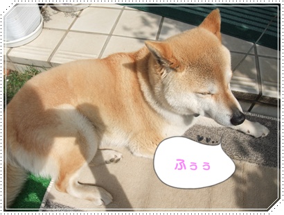 souther_20090427g