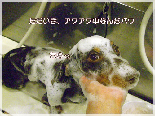 souther_20090928a
