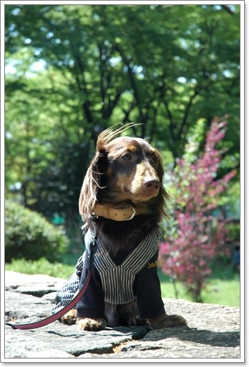 souther_20110426g