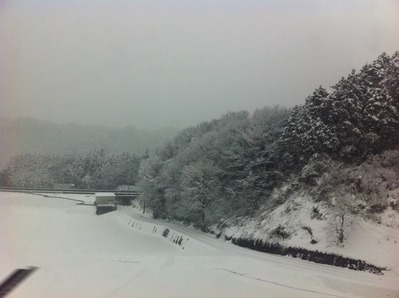 写真 (29)