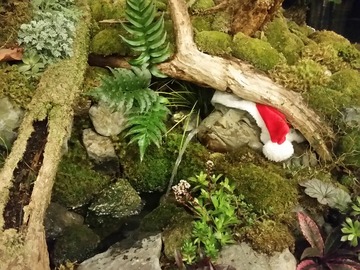 20161224_204523