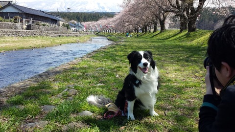 20140419_105403