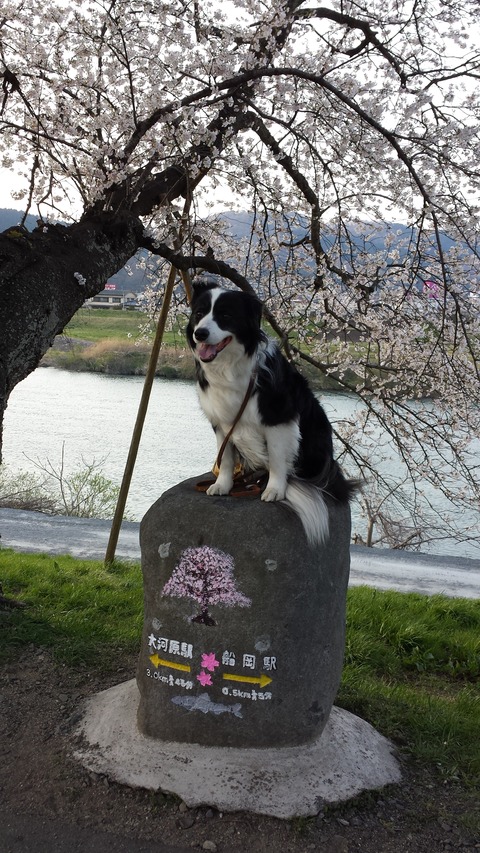 20140416_164001